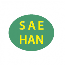 Saehan Logo